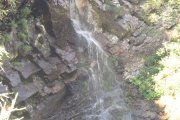 IMG_0006