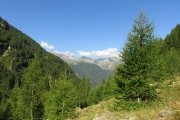 IMG_0021