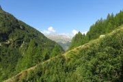 IMG_0028