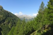 IMG_0035