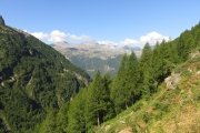 IMG_0039