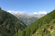 IMG_0049