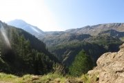 IMG_0052