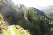 IMG_0053