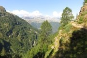 IMG_0061