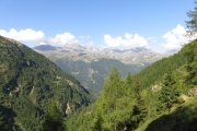 IMG_0064