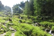 IMG_0081