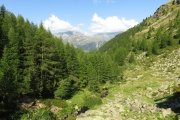 IMG_0087
