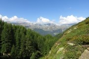 IMG_0089