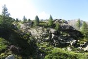 IMG_0093