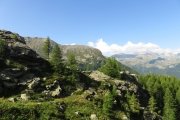 IMG_0094