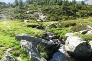 IMG_0100