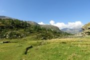 IMG_0106