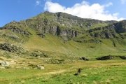 IMG_0107