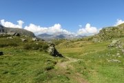 IMG_0115
