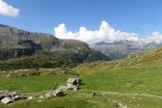 IMG_0131