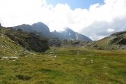 IMG_0218