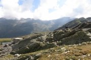 IMG_0233