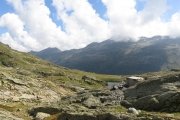 IMG_0235