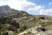 IMG_0237