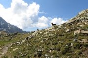 IMG_0260