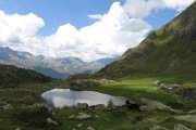 IMG_0307
