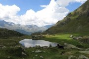 IMG_0308