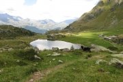 IMG_0309