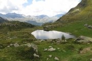 IMG_0316