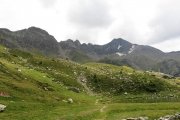 IMG_0325