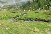 IMG_0328