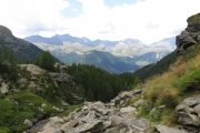 IMG_0329