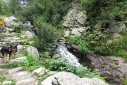 IMG_0332