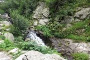 IMG_0333