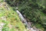 IMG_0337