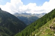 IMG_0338