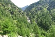 IMG_0345