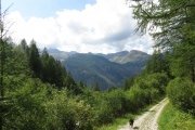 IMG_0347