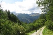 IMG_0348
