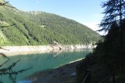 IMG_0008