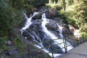 IMG_0019