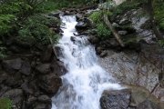 IMG_0020