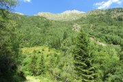 IMG_0024