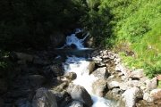 IMG_0028