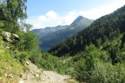 IMG_0038