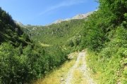 IMG_0039