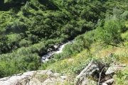 IMG_0046