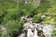 IMG_0050