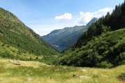 IMG_0056