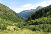 IMG_0062